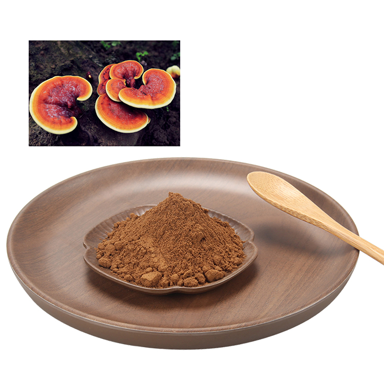 Mushroom Powder Natural Reishi Lions Mane Cordyceps Chaga Maitake Reishi Mushroom Ganoderma Lucidum Extract 40% Polysaccharides